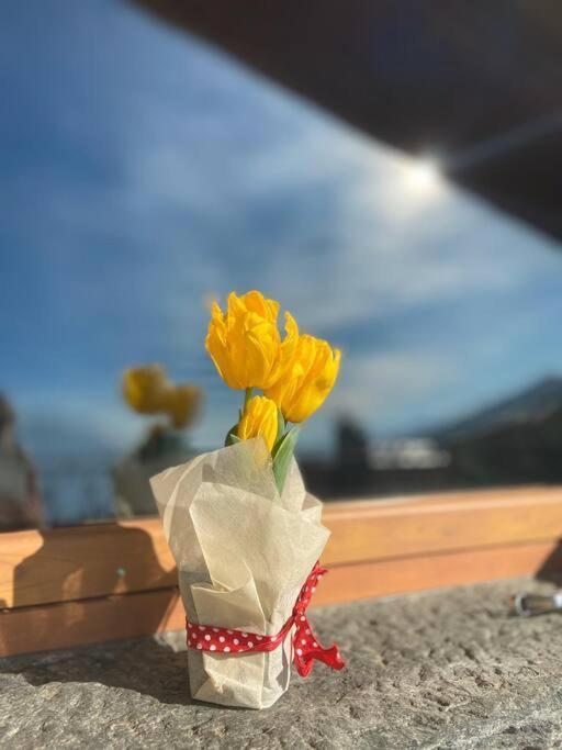 Chalet La Terrazza Vista Lago 贝拉诺 外观 照片